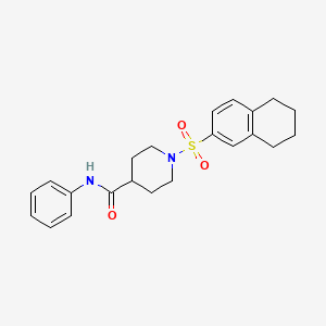 N-phenyl-1-(5,6,7,8-tetrahydronaphthalen-2-ylsulfonyl)piperidine-4-carboxamide