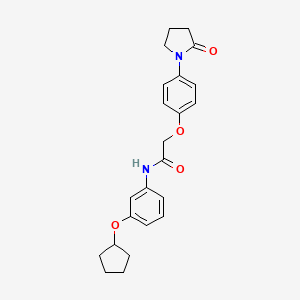 molecular formula C23H26N2O4 B7523533 N-(3-cyclopentyloxyphenyl)-2-[4-(2-oxopyrrolidin-1-yl)phenoxy]acetamide 