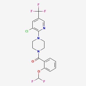 molecular formula C18H15ClF5N3O2 B7524153 [4-[3-Chloro-5-(trifluoromethyl)pyridin-2-yl]piperazin-1-yl]-[2-(difluoromethoxy)phenyl]methanone 