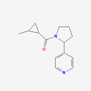 molecular formula C14H18N2O B7525763 (2-Methylcyclopropyl)-(2-pyridin-4-ylpyrrolidin-1-yl)methanone 