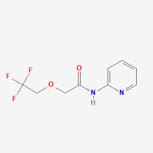 molecular formula C9H9F3N2O2 B7526815 N-pyridin-2-yl-2-(2,2,2-trifluoroethoxy)acetamide 