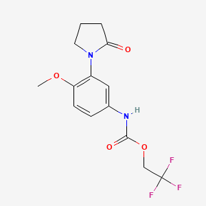 2,2,2-trifluoroethyl N-[4-methoxy-3-(2-oxopyrrolidin-1-yl)phenyl]carbamate