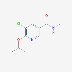 molecular formula C10H13ClN2O2 B7530173 5-chloro-N-methyl-6-propan-2-yloxypyridine-3-carboxamide 