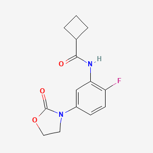 molecular formula C14H15FN2O3 B7530944 N-[2-fluoro-5-(2-oxo-1,3-oxazolidin-3-yl)phenyl]cyclobutanecarboxamide 