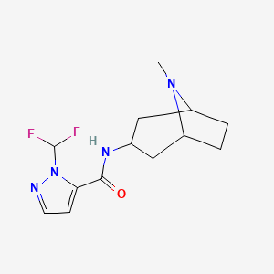 molecular formula C13H18F2N4O B7532373 1-(difluoromethyl)-N-(8-methyl-8-azabicyclo[3.2.1]oct-3-yl)-1H-pyrazole-5-carboxamide 