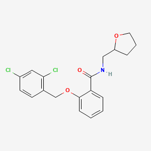 molecular formula C19H19Cl2NO3 B7532725 2-[(2,4-dichlorophenyl)methoxy]-N-(oxolan-2-ylmethyl)benzamide 