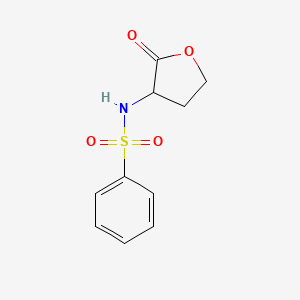 molecular formula C10H11NO4S B7532816 N-(2-oxooxolan-3-yl)benzenesulfonamide 
