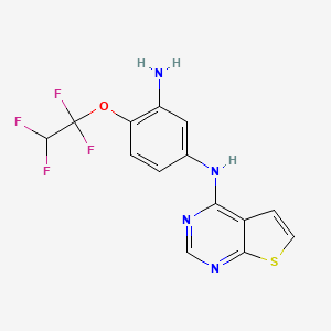 molecular formula C14H10F4N4OS B7534683 4-(1,1,2,2-tetrafluoroethoxy)-1-N-thieno[2,3-d]pyrimidin-4-ylbenzene-1,3-diamine 