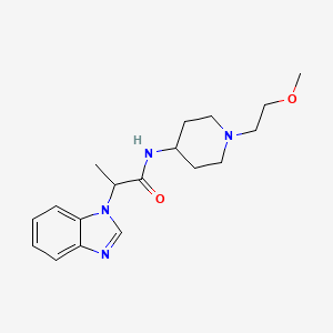 molecular formula C18H26N4O2 B7534945 2-(benzimidazol-1-yl)-N-[1-(2-methoxyethyl)piperidin-4-yl]propanamide 