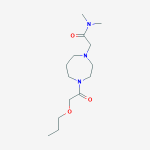 molecular formula C14H27N3O3 B7535118 N,N-dimethyl-2-[4-(2-propoxyacetyl)-1,4-diazepan-1-yl]acetamide 