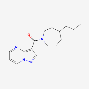 molecular formula C16H22N4O B7535326 (4-Propylazepan-1-yl)-pyrazolo[1,5-a]pyrimidin-3-ylmethanone 