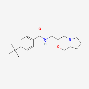 molecular formula C19H28N2O2 B7535797 N-(3,4,6,7,8,8a-hexahydro-1H-pyrrolo[2,1-c][1,4]oxazin-3-ylmethyl)-4-tert-butylbenzamide 