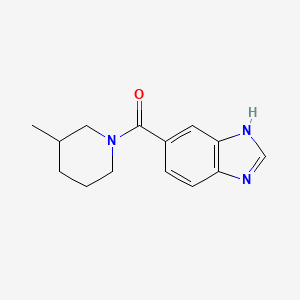 molecular formula C14H17N3O B7536687 3H-benzimidazol-5-yl-(3-methylpiperidin-1-yl)methanone 