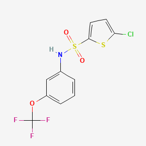 molecular formula C11H7ClF3NO3S2 B7538302 5-chloro-N-[3-(trifluoromethoxy)phenyl]thiophene-2-sulfonamide 