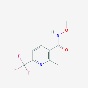 molecular formula C9H9F3N2O2 B7539139 N-methoxy-2-methyl-6-(trifluoromethyl)pyridine-3-carboxamide 