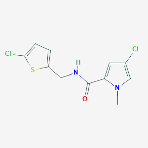 molecular formula C11H10Cl2N2OS B7539986 4-chloro-N-[(5-chlorothiophen-2-yl)methyl]-1-methylpyrrole-2-carboxamide 
