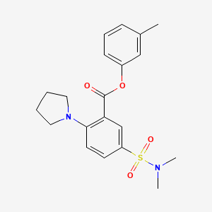 molecular formula C20H24N2O4S B7539994 (3-Methylphenyl) 5-(dimethylsulfamoyl)-2-pyrrolidin-1-ylbenzoate 