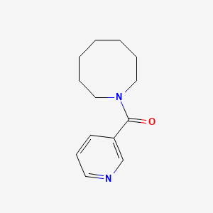 molecular formula C13H18N2O B7540237 Azocan-1-yl(pyridin-3-yl)methanone 
