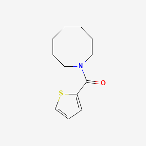 molecular formula C12H17NOS B7540378 Azocan-1-yl(thiophen-2-yl)methanone 