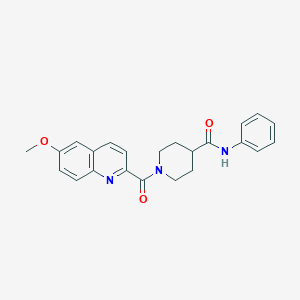 1-(6-methoxyquinoline-2-carbonyl)-N-phenylpiperidine-4-carboxamide
