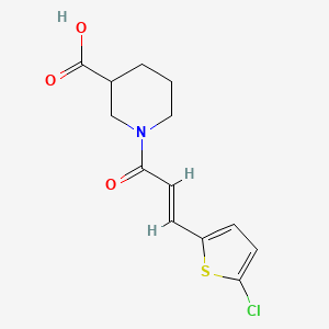 molecular formula C13H14ClNO3S B7541254 1-[(E)-3-(5-chlorothiophen-2-yl)prop-2-enoyl]piperidine-3-carboxylic acid 