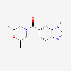 molecular formula C14H17N3O2 B7541554 3H-benzimidazol-5-yl-(2,6-dimethylmorpholin-4-yl)methanone 
