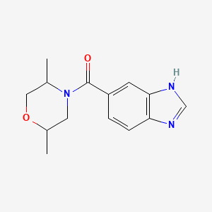 molecular formula C14H17N3O2 B7542032 3H-benzimidazol-5-yl-(2,5-dimethylmorpholin-4-yl)methanone 
