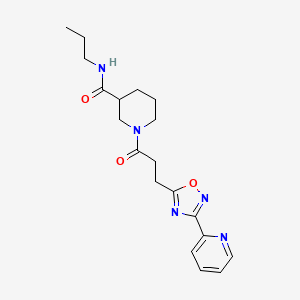 molecular formula C19H25N5O3 B7542811 N-propyl-1-[3-(3-pyridin-2-yl-1,2,4-oxadiazol-5-yl)propanoyl]piperidine-3-carboxamide 