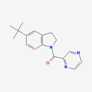 molecular formula C17H19N3O B7545238 (5-Tert-butyl-2,3-dihydroindol-1-yl)-pyrazin-2-ylmethanone 
