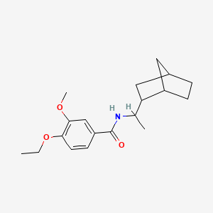 molecular formula C19H27NO3 B7545536 N-[1-(2-bicyclo[2.2.1]heptanyl)ethyl]-4-ethoxy-3-methoxybenzamide 