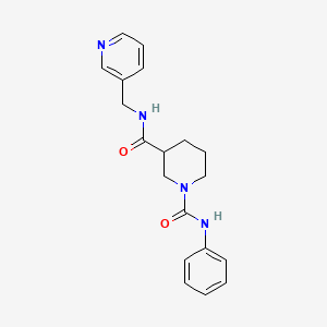 molecular formula C19H22N4O2 B7545668 1-N-phenyl-3-N-(pyridin-3-ylmethyl)piperidine-1,3-dicarboxamide 