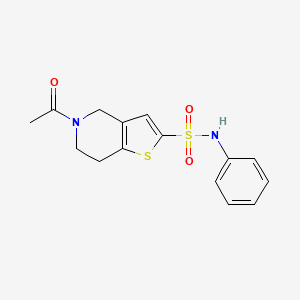 molecular formula C15H16N2O3S2 B7548672 5-acetyl-N-phenyl-6,7-dihydro-4H-thieno[3,2-c]pyridine-2-sulfonamide 