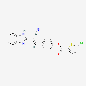 molecular formula C21H12ClN3O2S B7549451 [4-[(E)-2-(1H-benzimidazol-2-yl)-2-cyanoethenyl]phenyl] 5-chlorothiophene-2-carboxylate 