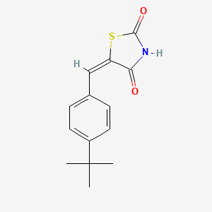 molecular formula C14H15NO2S B7549947 (5E)-5-[(4-tert-butylphenyl)methylidene]-1,3-thiazolidine-2,4-dione 
