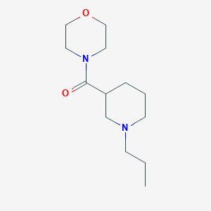 molecular formula C13H24N2O2 B7550028 Morpholin-4-yl-(1-propylpiperidin-3-yl)methanone 