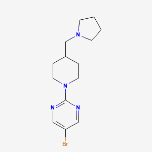 molecular formula C14H21BrN4 B7550099 5-Bromo-2-[4-(pyrrolidin-1-ylmethyl)piperidin-1-yl]pyrimidine 