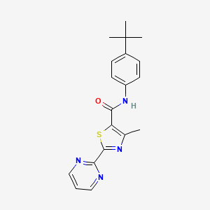 molecular formula C19H20N4OS B7551327 N-(4-tert-butylphenyl)-4-methyl-2-pyrimidin-2-yl-1,3-thiazole-5-carboxamide 