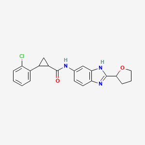 molecular formula C21H20ClN3O2 B7552322 2-(2-chlorophenyl)-N-[2-(oxolan-2-yl)-3H-benzimidazol-5-yl]cyclopropane-1-carboxamide 