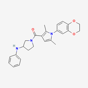 molecular formula C25H27N3O3 B7552542 (3-Anilinopyrrolidin-1-yl)-[1-(2,3-dihydro-1,4-benzodioxin-6-yl)-2,5-dimethylpyrrol-3-yl]methanone 