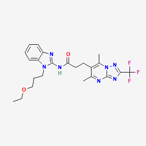 molecular formula C23H26F3N7O2 B7552810 3-[5,7-dimethyl-2-(trifluoromethyl)-[1,2,4]triazolo[1,5-a]pyrimidin-6-yl]-N-[1-(3-ethoxypropyl)benzimidazol-2-yl]propanamide 