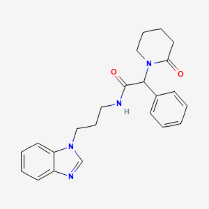 molecular formula C23H26N4O2 B7552880 N-[3-(benzimidazol-1-yl)propyl]-2-(2-oxopiperidin-1-yl)-2-phenylacetamide 