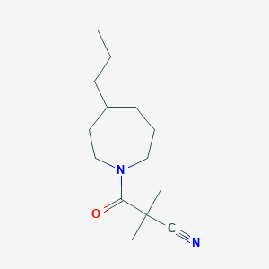 molecular formula C14H24N2O B7554537 2,2-Dimethyl-3-oxo-3-(4-propylazepan-1-yl)propanenitrile 