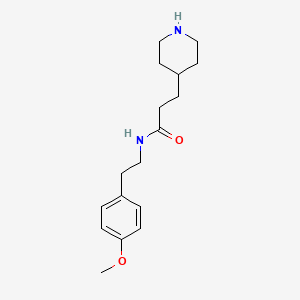 molecular formula C17H26N2O2 B7554966 N-[2-(4-methoxyphenyl)ethyl]-3-piperidin-4-ylpropanamide 