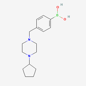 molecular formula C16H25BN2O2 B7555277 [4-[(4-Cyclopentylpiperazin-1-yl)methyl]phenyl]boronic acid 
