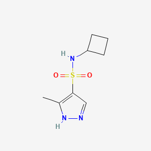 molecular formula C8H13N3O2S B7555398 N-cyclobutyl-5-methyl-1H-pyrazole-4-sulfonamide 