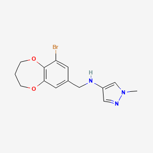 molecular formula C14H16BrN3O2 B7556399 N-[(6-bromo-3,4-dihydro-2H-1,5-benzodioxepin-8-yl)methyl]-1-methylpyrazol-4-amine 