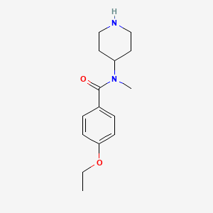 molecular formula C15H22N2O2 B7556667 4-ethoxy-N-methyl-N-piperidin-4-ylbenzamide 