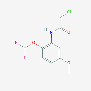 molecular formula C10H10ClF2NO3 B7557327 2-chloro-N-[2-(difluoromethoxy)-5-methoxyphenyl]acetamide 