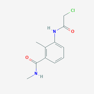 molecular formula C11H13ClN2O2 B7557463 3-[(2-chloroacetyl)amino]-N,2-dimethylbenzamide 