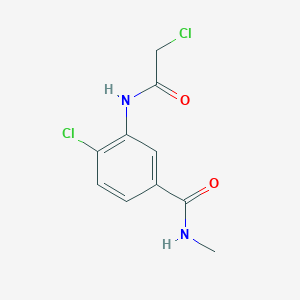 molecular formula C10H10Cl2N2O2 B7557487 4-chloro-3-[(2-chloroacetyl)amino]-N-methylbenzamide 